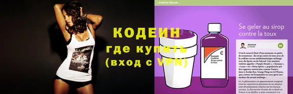 гидра Абаза