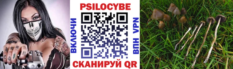 даркнет сайт  Кадников  Псилоцибиновые грибы ЛСД 